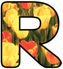 Dekobuchstaben-Tulpe_R.jpg